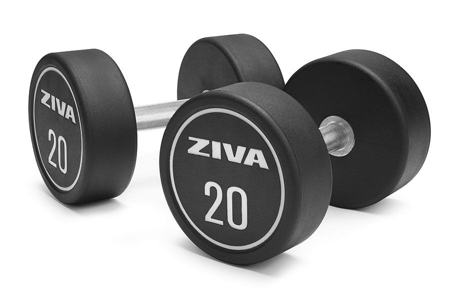Haltères Ziva Magic Form Bordeaux